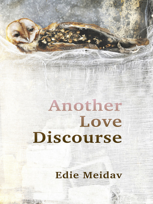 Title details for Another Love Discourse by Edie Meidav - Available